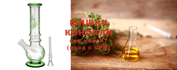шишки Осинники