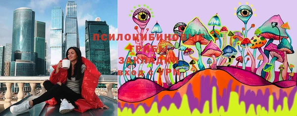 тгк Алзамай