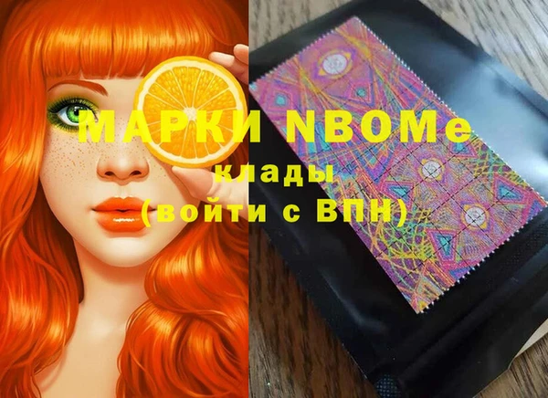 шишки Осинники