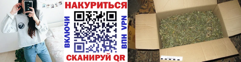 Бошки Шишки планчик Радужный